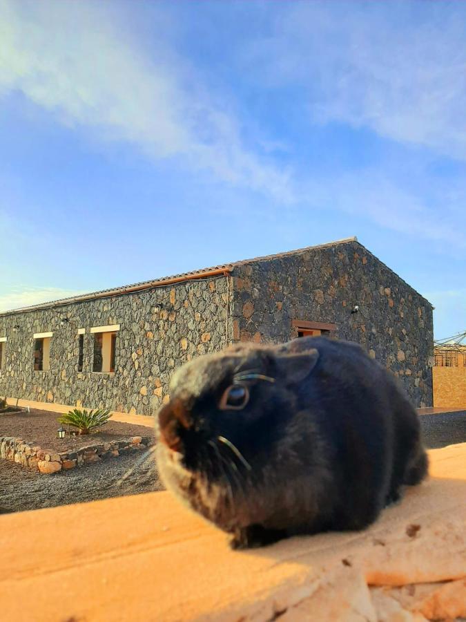 Agriturismo El Bounty1 Puerto del Rosario  Kültér fotó