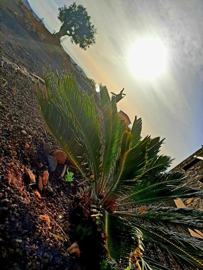 Agriturismo El Bounty1 Puerto del Rosario  Kültér fotó