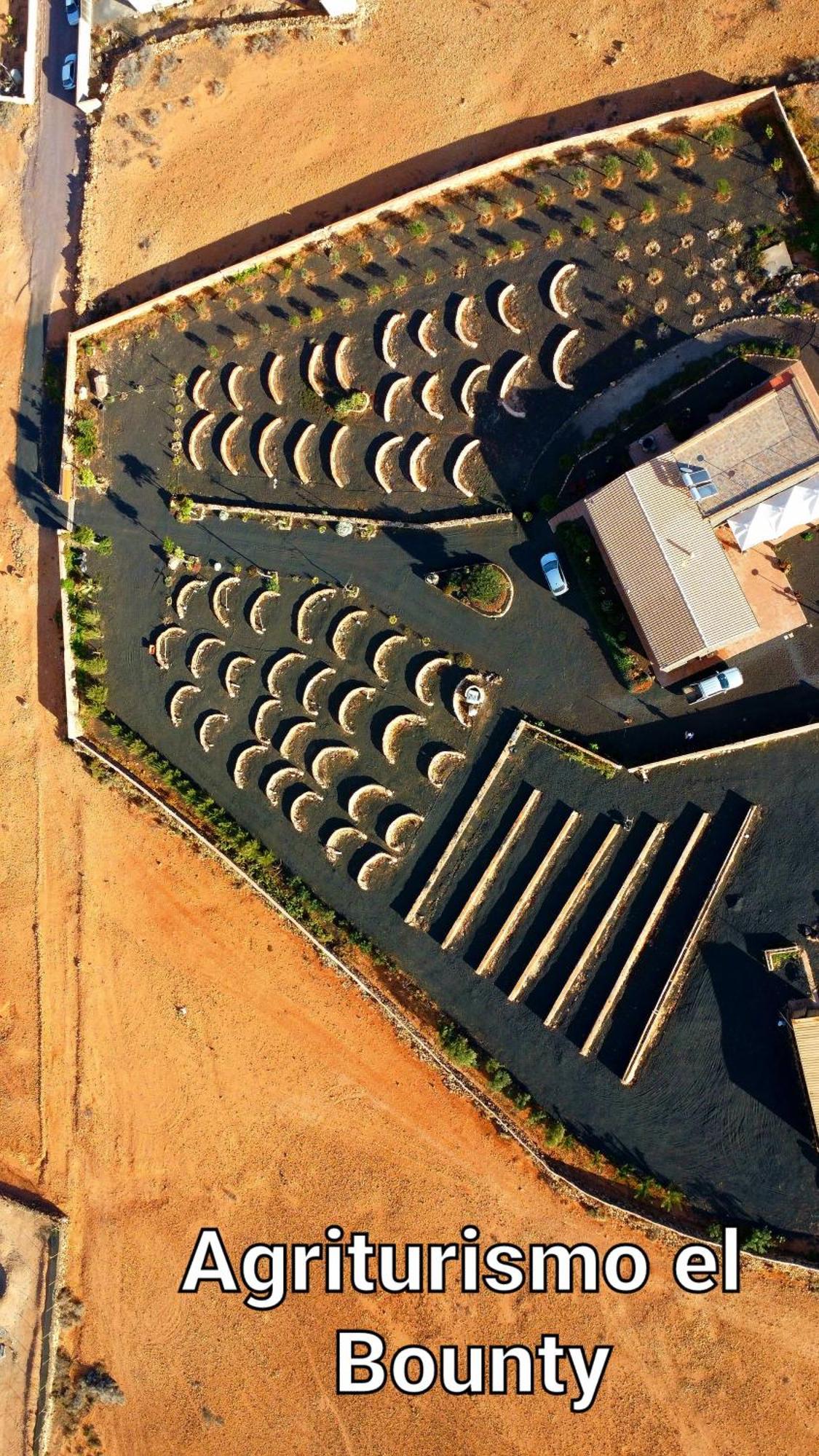 Agriturismo El Bounty1 Puerto del Rosario  Szoba fotó